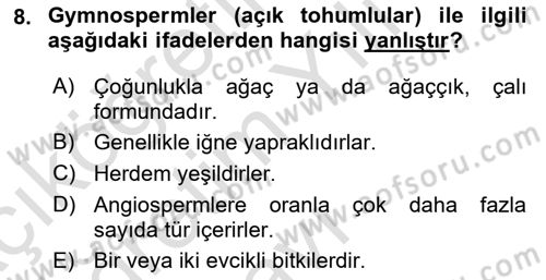 Peyzaj Çevre ve Tarım Dersi 2023 - 2024 Yılı Yaz Okulu Sınav Soruları 8. Soru