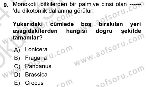 Peyzaj Çevre ve Tarım Dersi 2023 - 2024 Yılı Yaz Okulu Sınav Soruları 9. Soru