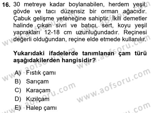 Peyzaj Çevre ve Tarım Dersi 2024 - 2025 Yılı (Vize) Ara Sınav Soruları 16. Soru