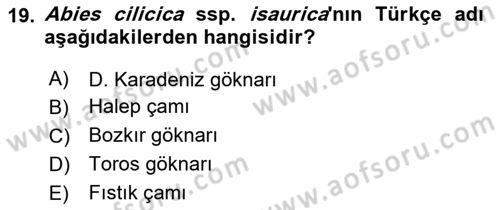 Peyzaj Çevre ve Tarım Dersi 2024 - 2025 Yılı (Vize) Ara Sınav Soruları 19. Soru