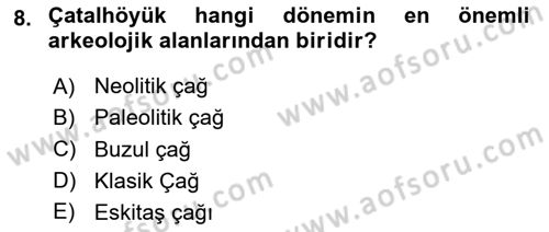 Peyzaj Çevre ve Tarım Dersi 2024 - 2025 Yılı (Vize) Ara Sınav Soruları 8. Soru