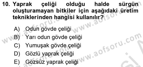 Peyzaj Çevre ve Tarım Dersi 2024 - 2025 Yılı (Final) Dönem Sonu Sınav Soruları 10. Soru