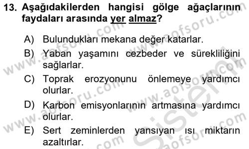 Peyzaj Çevre ve Tarım Dersi 2024 - 2025 Yılı (Final) Dönem Sonu Sınav Soruları 13. Soru