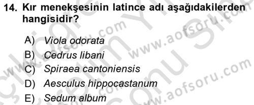 Peyzaj Çevre ve Tarım Dersi 2024 - 2025 Yılı (Final) Dönem Sonu Sınav Soruları 14. Soru
