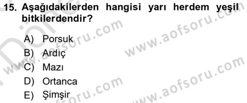 Peyzaj Çevre ve Tarım Dersi 2024 - 2025 Yılı (Final) Dönem Sonu Sınav Soruları 15. Soru