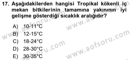 Peyzaj Çevre ve Tarım Dersi 2024 - 2025 Yılı (Final) Dönem Sonu Sınav Soruları 17. Soru