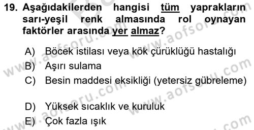 Peyzaj Çevre ve Tarım Dersi 2024 - 2025 Yılı (Final) Dönem Sonu Sınav Soruları 19. Soru