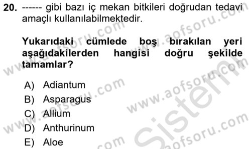 Peyzaj Çevre ve Tarım Dersi 2024 - 2025 Yılı (Final) Dönem Sonu Sınav Soruları 20. Soru