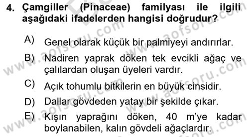 Peyzaj Çevre ve Tarım Dersi 2024 - 2025 Yılı (Final) Dönem Sonu Sınav Soruları 4. Soru