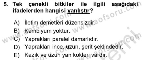 Peyzaj Çevre ve Tarım Dersi 2024 - 2025 Yılı (Final) Dönem Sonu Sınav Soruları 5. Soru