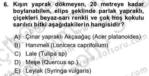 Peyzaj Çevre ve Tarım Dersi 2024 - 2025 Yılı (Final) Dönem Sonu Sınav Soruları 6. Soru