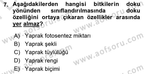 Peyzaj Çevre ve Tarım Dersi 2024 - 2025 Yılı (Final) Dönem Sonu Sınav Soruları 7. Soru