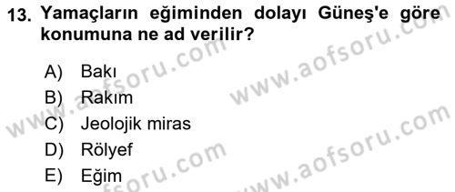 Peyzaj Çevre ve Tarım Dersi 2025 - 2026 Yılı (Vize) Ara Sınav Soruları 13. Soru
