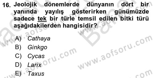 Peyzaj Çevre ve Tarım Dersi 2025 - 2026 Yılı (Vize) Ara Sınav Soruları 16. Soru
