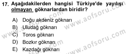 Peyzaj Çevre ve Tarım Dersi 2025 - 2026 Yılı (Vize) Ara Sınav Soruları 17. Soru