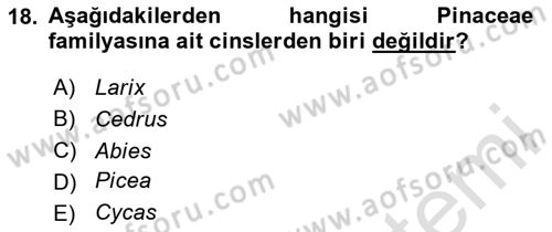 Peyzaj Çevre ve Tarım Dersi 2025 - 2026 Yılı (Vize) Ara Sınav Soruları 18. Soru