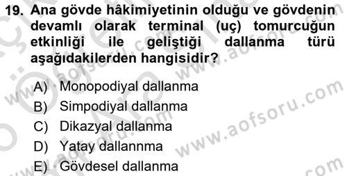 Peyzaj Çevre ve Tarım Dersi 2025 - 2026 Yılı (Vize) Ara Sınav Soruları 19. Soru