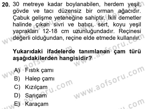 Peyzaj Çevre ve Tarım Dersi 2025 - 2026 Yılı (Vize) Ara Sınav Soruları 20. Soru