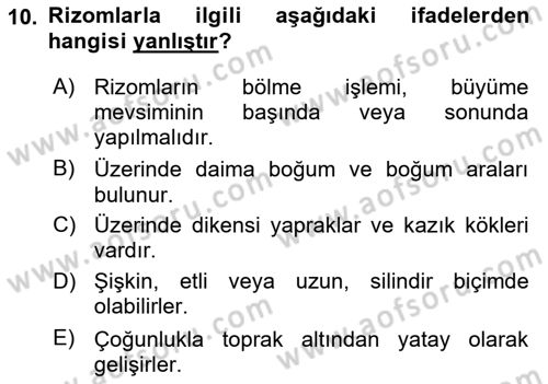 Peyzaj Çevre ve Tarım Dersi 2025 - 2026 Yılı (Final) Dönem Sonu Sınav Soruları 10. Soru
