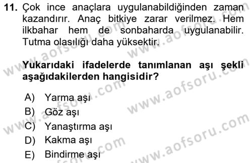 Peyzaj Çevre ve Tarım Dersi 2025 - 2026 Yılı (Final) Dönem Sonu Sınav Soruları 11. Soru