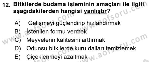 Peyzaj Çevre ve Tarım Dersi 2025 - 2026 Yılı (Final) Dönem Sonu Sınav Soruları 12. Soru