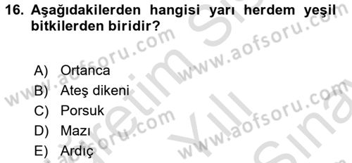 Peyzaj Çevre ve Tarım Dersi 2025 - 2026 Yılı (Final) Dönem Sonu Sınav Soruları 16. Soru