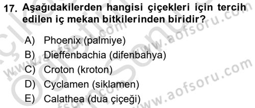 Peyzaj Çevre ve Tarım Dersi 2025 - 2026 Yılı (Final) Dönem Sonu Sınav Soruları 17. Soru