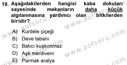 Peyzaj Çevre ve Tarım Dersi 2025 - 2026 Yılı (Final) Dönem Sonu Sınav Soruları 19. Soru