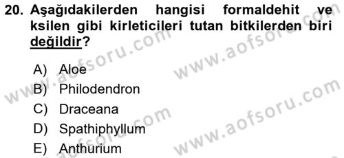 Peyzaj Çevre ve Tarım Dersi 2025 - 2026 Yılı (Final) Dönem Sonu Sınav Soruları 20. Soru