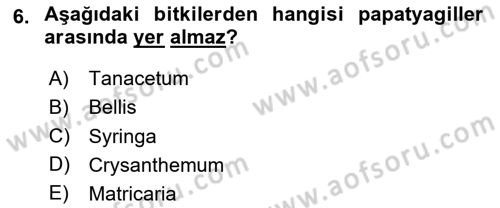 Peyzaj Çevre ve Tarım Dersi 2025 - 2026 Yılı (Final) Dönem Sonu Sınav Soruları 6. Soru