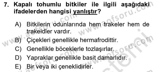 Peyzaj Çevre ve Tarım Dersi 2025 - 2026 Yılı (Final) Dönem Sonu Sınav Soruları 7. Soru