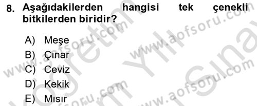 Peyzaj Çevre ve Tarım Dersi 2025 - 2026 Yılı (Final) Dönem Sonu Sınav Soruları 8. Soru