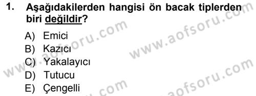 Entomoloji Dersi Ara Sınavı Deneme Sınav Soruları 1. Soru