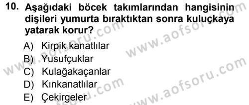 Entomoloji Dersi 2012 - 2013 Yılı (Vize) Ara Sınav Soruları 10. Soru