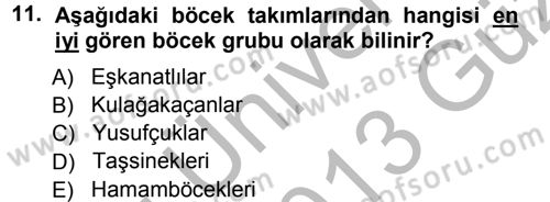 Entomoloji Dersi Ara Sınavı Deneme Sınav Soruları 11. Soru