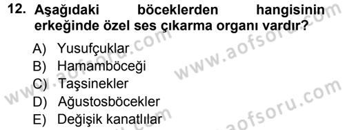 Entomoloji Dersi Ara Sınavı Deneme Sınav Soruları 12. Soru