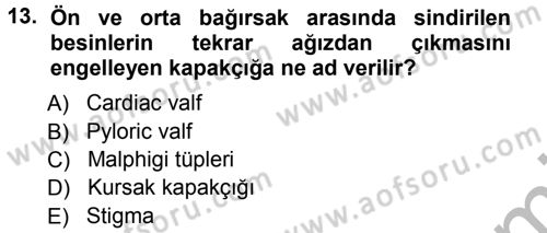 Entomoloji Dersi 2012 - 2013 Yılı (Vize) Ara Sınav Soruları 13. Soru