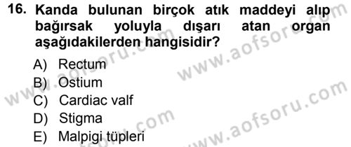 Entomoloji Dersi 2012 - 2013 Yılı (Vize) Ara Sınav Soruları 16. Soru