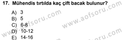 Entomoloji Dersi 2012 - 2013 Yılı (Vize) Ara Sınav Soruları 17. Soru
