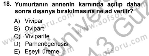 Entomoloji Dersi 2012 - 2013 Yılı (Vize) Ara Sınav Soruları 18. Soru