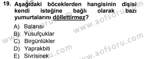 Entomoloji Dersi Ara Sınavı Deneme Sınav Soruları 19. Soru
