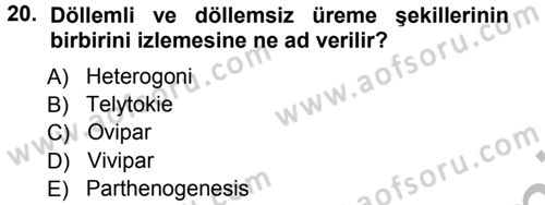 Entomoloji Dersi Ara Sınavı Deneme Sınav Soruları 20. Soru