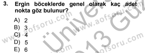 Entomoloji Dersi 2012 - 2013 Yılı (Vize) Ara Sınav Soruları 3. Soru