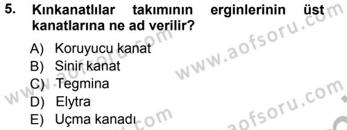 Entomoloji Dersi 2012 - 2013 Yılı (Vize) Ara Sınav Soruları 5. Soru