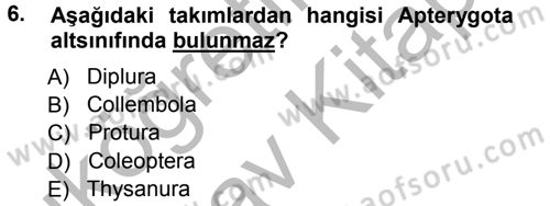 Entomoloji Dersi 2012 - 2013 Yılı (Vize) Ara Sınav Soruları 6. Soru