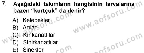 Entomoloji Dersi 2012 - 2013 Yılı (Vize) Ara Sınav Soruları 7. Soru