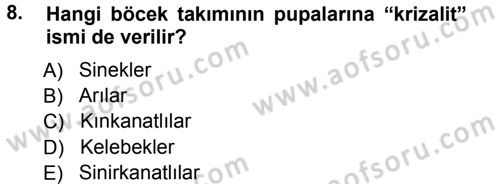 Entomoloji Dersi Ara Sınavı Deneme Sınav Soruları 8. Soru