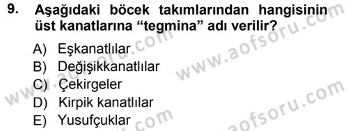 Entomoloji Dersi Ara Sınavı Deneme Sınav Soruları 9. Soru