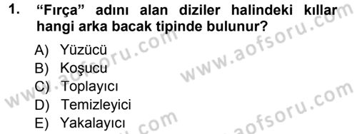 Entomoloji Dersi 2012 - 2013 Yılı (Final) Dönem Sonu Sınav Soruları 1. Soru