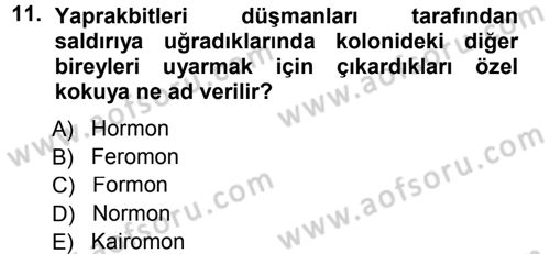 Entomoloji Dersi 2012 - 2013 Yılı (Final) Dönem Sonu Sınav Soruları 11. Soru